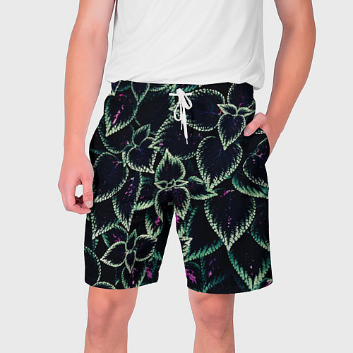 Мужские шорты Зеленые кусты / 3D-принт – фото 1