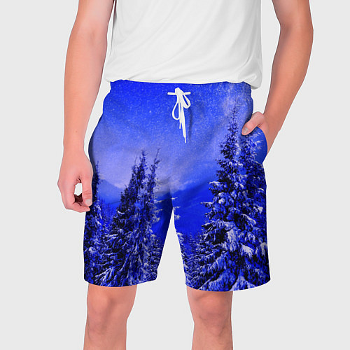 Мужские шорты Зимний лес / 3D-принт – фото 1