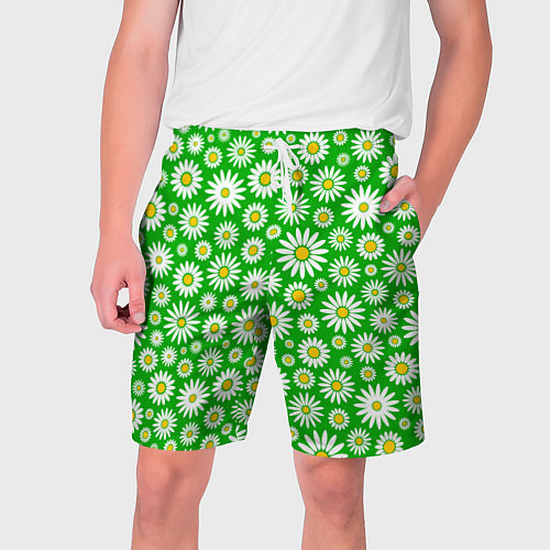 Мужские шорты Ромашки на зелёном фоне / 3D-принт – фото 1