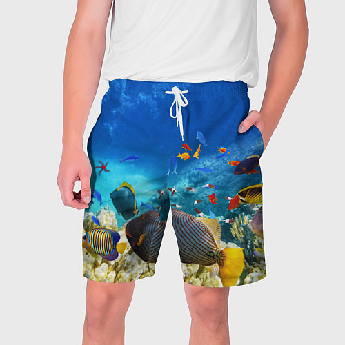 Мужские шорты Морской мир / 3D-принт – фото 1