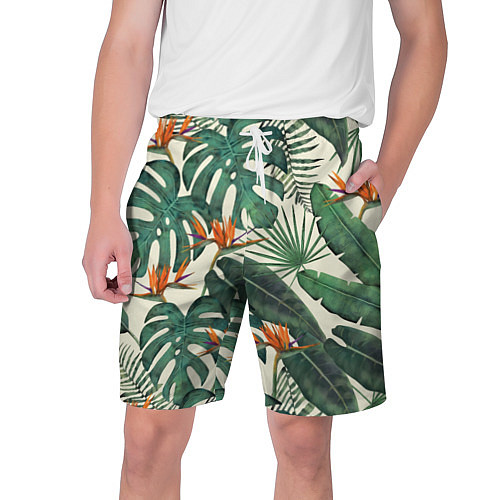 Мужские шорты Тропический паттерн / 3D-принт – фото 1