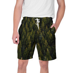 Шорты на шнурке мужские Лес вечный, цвет: 3D-принт
