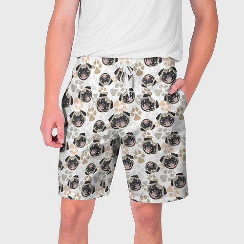 Мужские шорты Собака Мопс Pug / 3D-принт – фото 1