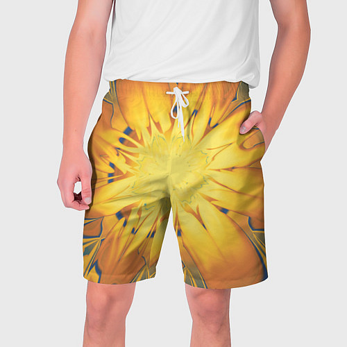 Мужские шорты Солнечный цветок Абстракция 535-332-32 / 3D-принт – фото 1