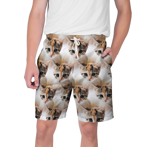 Мужские шорты Маленький котенок паттерн / 3D-принт – фото 1
