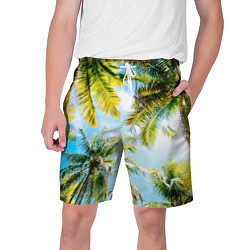 Шорты на шнурке мужские Пальмы под солнцем, цвет: 3D-принт