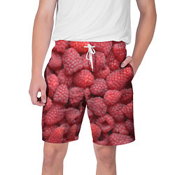 Шорты на шнурке мужские Малина - ягоды, цвет: 3D-принт
