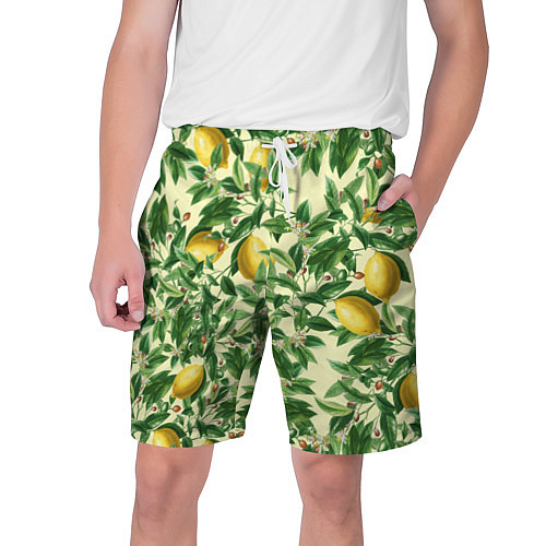 Мужские шорты Лимоны На Ветках / 3D-принт – фото 1