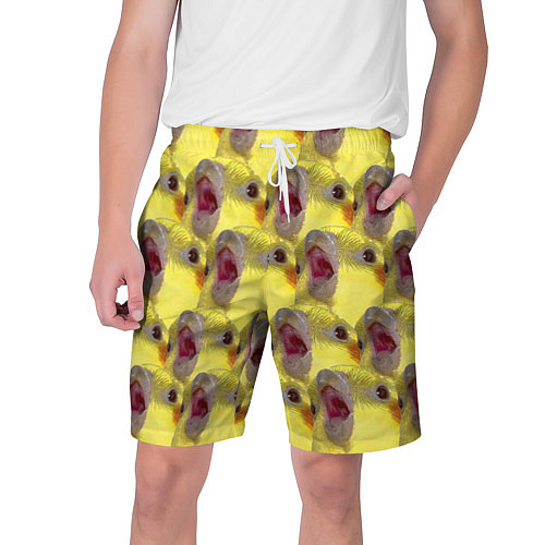 Мужские шорты Попугай Корелла Орёт Мем / 3D-принт – фото 1