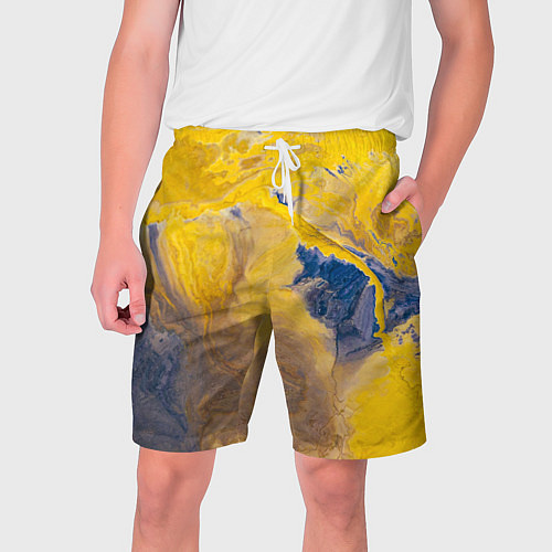 Мужские шорты Пожар Красок / 3D-принт – фото 1