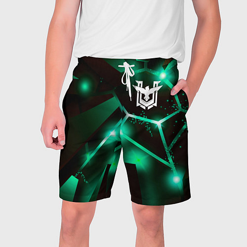 Мужские шорты Free Fire разлом плит / 3D-принт – фото 1