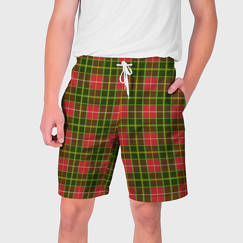 Мужские шорты Ткань Шотландка красно-зелёная / 3D-принт – фото 1