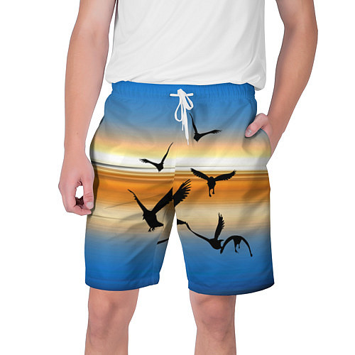 Мужские шорты Вороны на закате / 3D-принт – фото 1