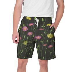 Мужские шорты Полевые цветочки на темном фоне