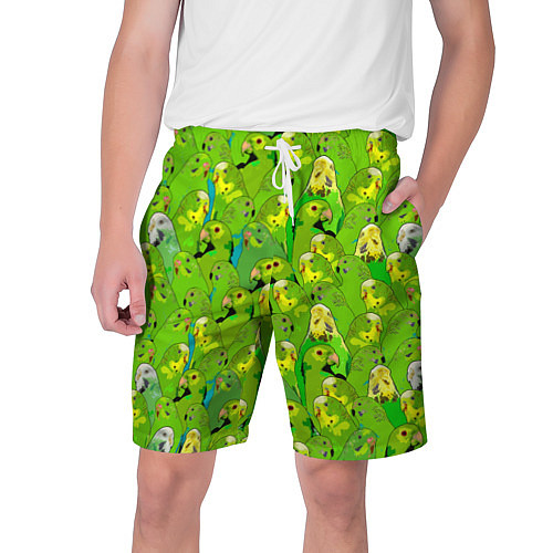 Мужские шорты Зеленые волнистые попугайчики / 3D-принт – фото 1