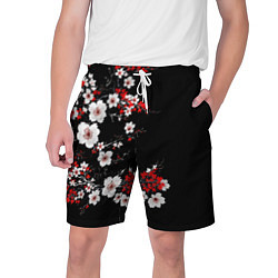 Мужские шорты Белая и красная сакура - цветение