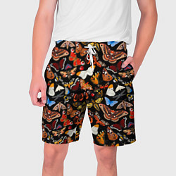 Мужские шорты Разноцветные тропические бабочки