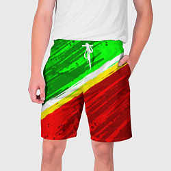 Мужские шорты Расцветка Зеленоградского флага