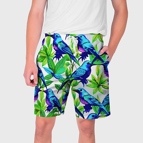 Мужские шорты Паттерн маленькое синее колибри / 3D-принт – фото 1