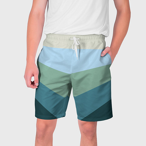 Мужские шорты Пентопалитра / 3D-принт – фото 1