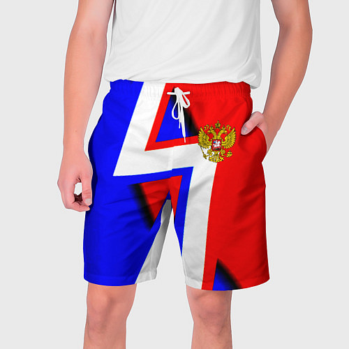 Мужские шорты Герб России спортивный стиль / 3D-принт – фото 1