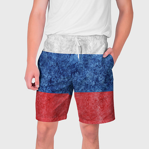 Мужские шорты Флаг России разноцветный / 3D-принт – фото 1