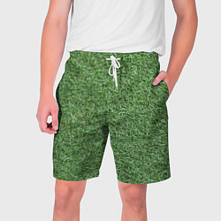 Мужские шорты Зеленая травка