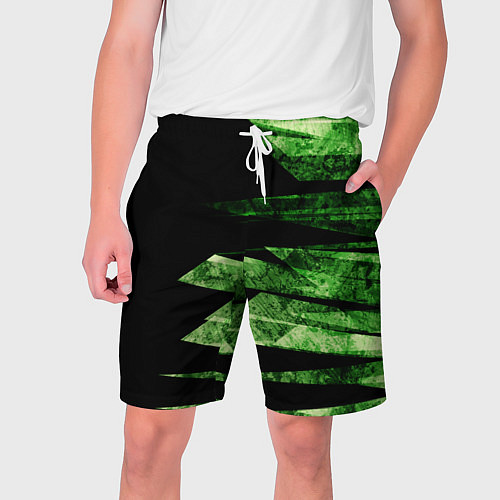 Мужские шорты Color green black / 3D-принт – фото 1