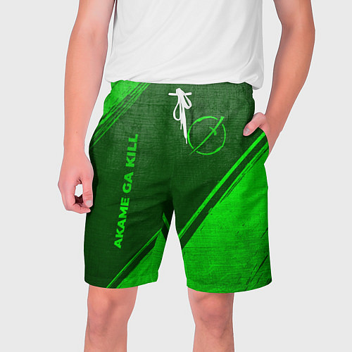 Мужские шорты Akame ga Kill - green gradient вертикально / 3D-принт – фото 1