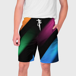 Мужские шорты Multicoloured