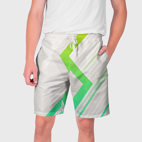 Мужские шорты Color white line green / 3D-принт – фото 1