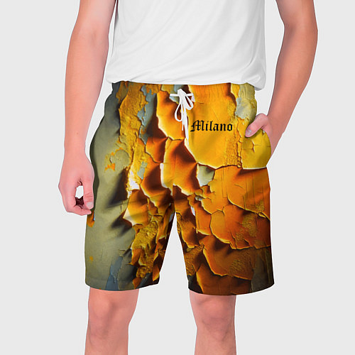 Мужские шорты Peeling plaster - Milano / 3D-принт – фото 1