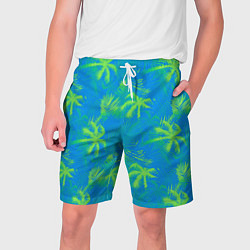 Мужские шорты Palm light green light blue