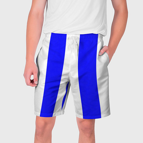 Мужские шорты Color white blue line / 3D-принт – фото 1