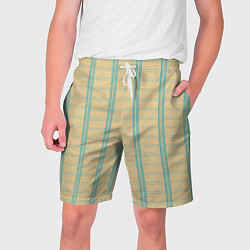 Шорты на шнурке мужские Color beige cage light blue stripes, цвет: 3D-принт
