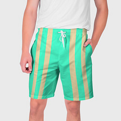 Мужские шорты Color blue beige stripes