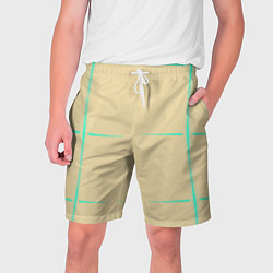 Мужские шорты Color beige green stripes