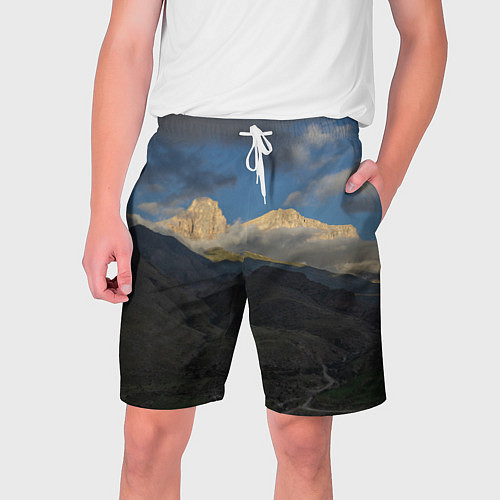 Мужские шорты Массив Метеген / 3D-принт – фото 1