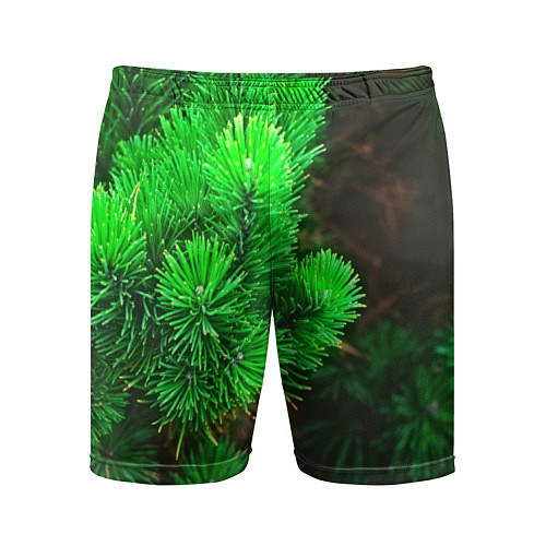 Мужские спортивные шорты Зелёная ель / 3D-принт – фото 1
