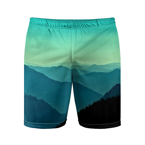 Мужские спортивные шорты Туманный лес / 3D-принт – фото 1