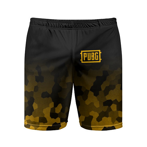 Мужские спортивные шорты PUBG: Military Honeycomb / 3D-принт – фото 1