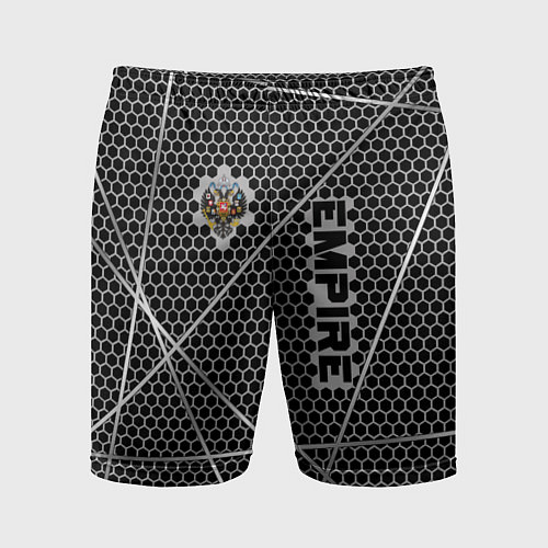 Мужские спортивные шорты Империя / 3D-принт – фото 1
