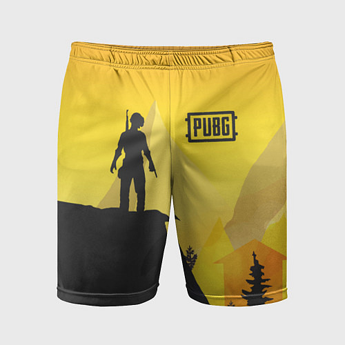 Мужские спортивные шорты PUBG: Sunrise / 3D-принт – фото 1
