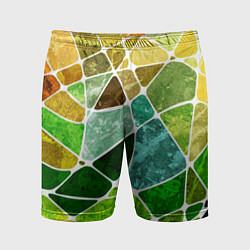 Шорты спортивные мужские Мозаика, цвет: 3D-принт