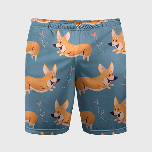 Мужские спортивные шорты Корги с бабочкой / 3D-принт – фото 1