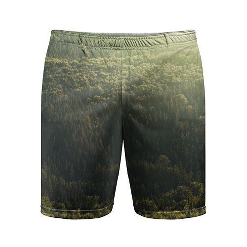 Мужские спортивные шорты Летний лес / 3D-принт – фото 1