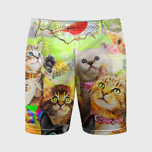 Мужские спортивные шорты КОТЫ / 3D-принт – фото 1