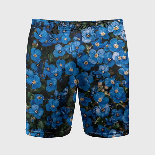 Мужские спортивные шорты Поле синих цветов фиалки лето / 3D-принт – фото 1