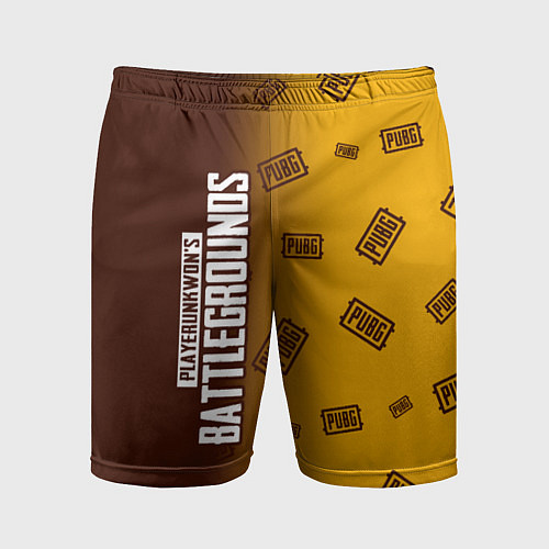 Мужские спортивные шорты PUBG ПАБГ / 3D-принт – фото 1