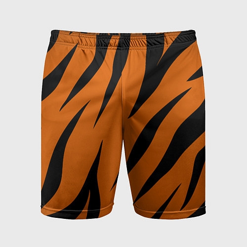 Мужские спортивные шорты Текстура тигра / 3D-принт – фото 1